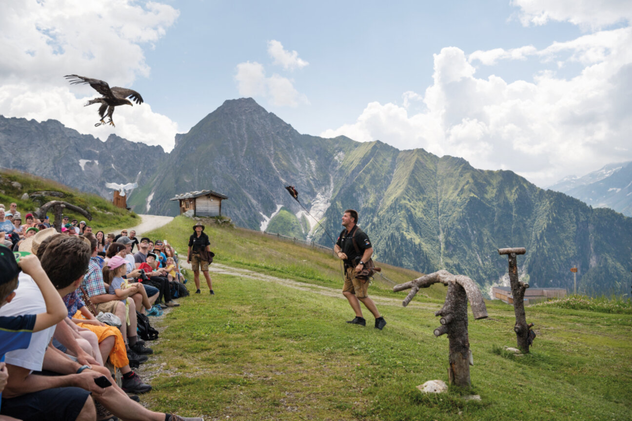 Adlerbühne_am_Ahorn__Frank_Bauer_