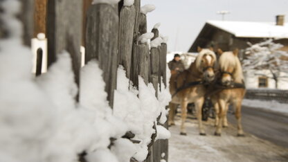 A horse carriage ride through the Zillertal A horse carriage ride through the Zillertal